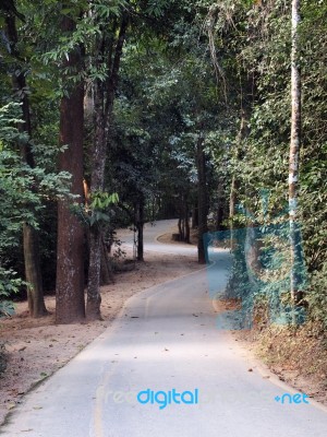 Curved Road Stock Photo