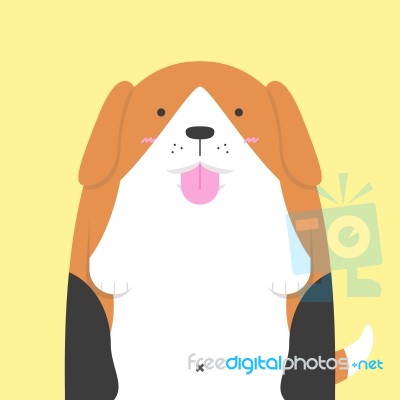 Cute Big Fat Beagle Dog Stock Image