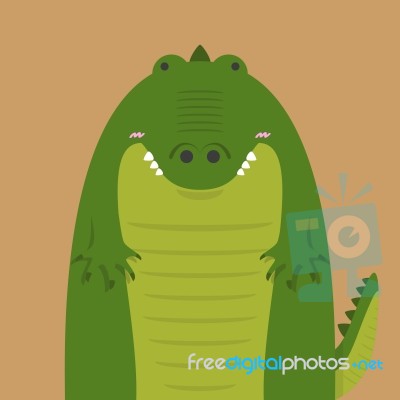 Cute Big Fat Crocodile Stock Image