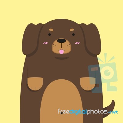 Cute Big Fat Dachshund Dog Stock Image