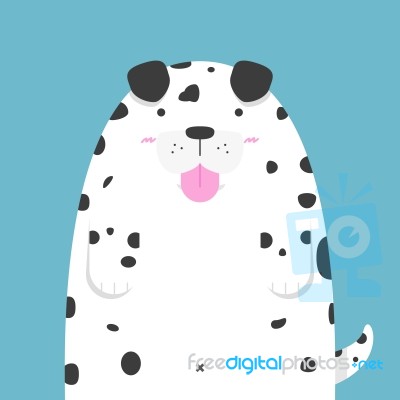 Cute Big Fat Dalmatian Dog Stock Image