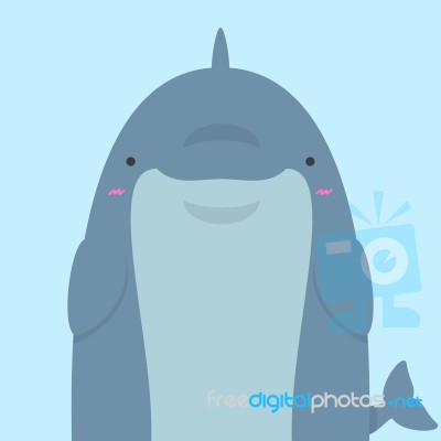 Cute Big Fat Dolphin Stock Image