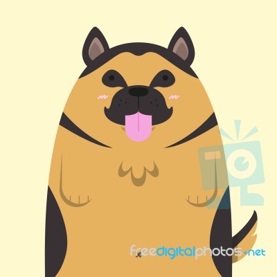 Cute Big Fat German Shepherd Dog Stock Image