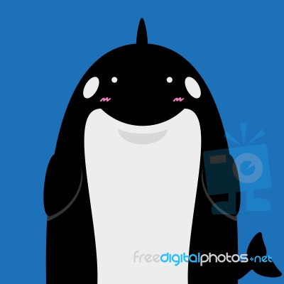 Cute Big Fat Killer Whale Orca Stock Image