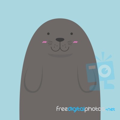 Cute Big Fat Monk Seal Stock Image