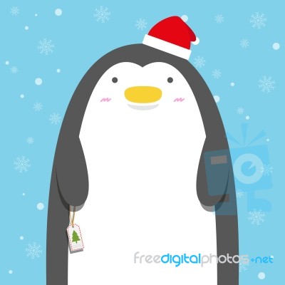 Cute Big Fat Penguin Wear Christmas Hat Stock Image