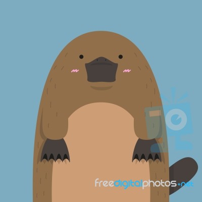 Cute Big Fat Platypus Stock Image