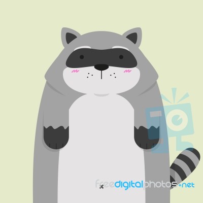 Cute Big Fat Raccoon Stock Image