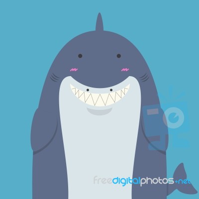 Cute Big Fat Shark Stock Image