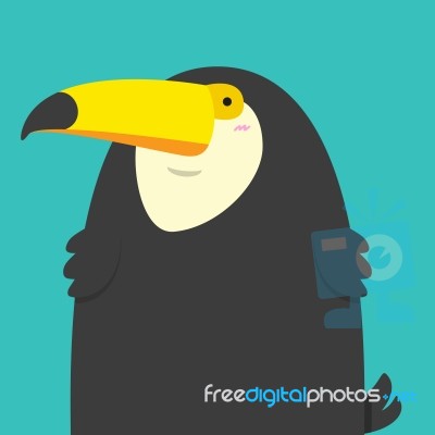 Cute Big Fat Toucan Bird Stock Image