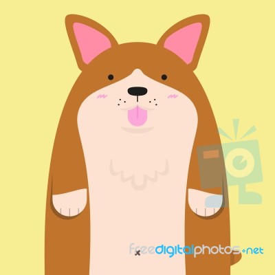 Cute Big Fat Welsh Corgi Dog Stock Image