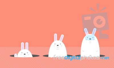 Cute Big Fat White Easter Rabbit Stock Image