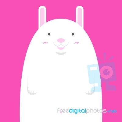 Cute Big Fat White Rabbit Stock Image