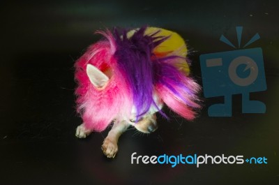 Cute Chihuahua On Black Background Stock Photo