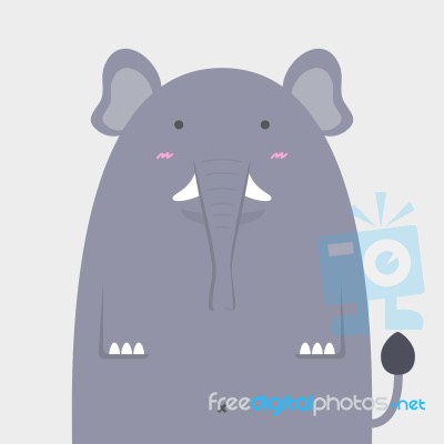 Cute Fat Big Elephant Stock Image