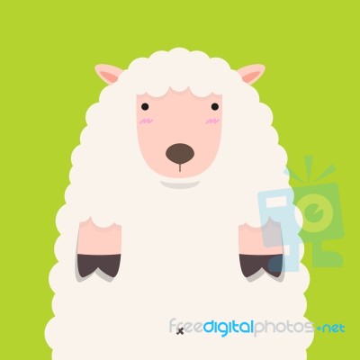 Cute Fat Big Lamb Stock Image