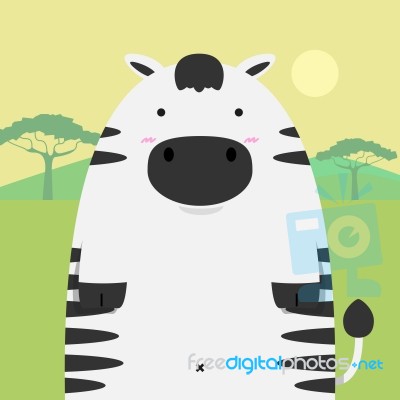 Cute Fat Big Zebra Horse Stock Image