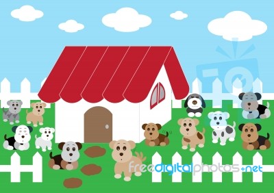 Cute Home Cute Dogs Stock Image