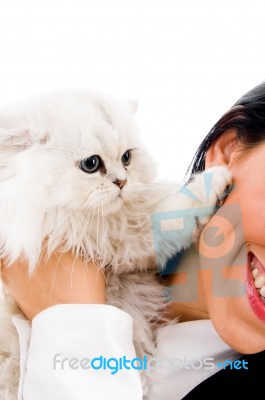 Cute Kitten Playing Stock Photo