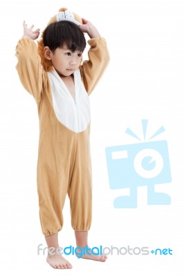 Cute Little Child Dressed In Lion Suit Stock Photo