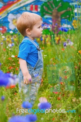 Cute Small Boy At The Field Of Flowers Having Good Time Stock Photo