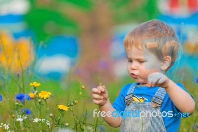 Cute Small Boy At The Field Of Flowers Having Good Time Stock Photo