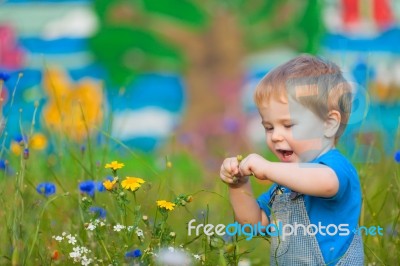 Cute Small Boy At The Field Of Flowers Having Good Time Stock Photo