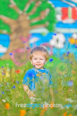 Cute Small Boy At The Field Of Flowers Having Good Time Stock Photo