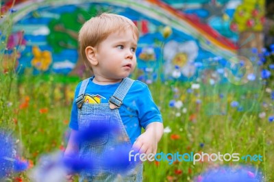 Cute Small Boy At The Field Of Flowers Having Good Time Stock Photo