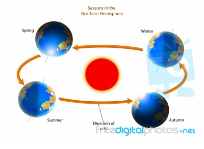 Cycle Of Seasons Stock Image