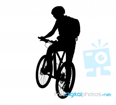 Cyclist Silhouette Scene Stock Image