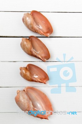 Cymbiola Seashells Stock Photo