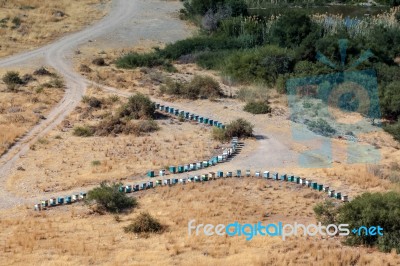 Cyprus, Greece/europe - July 21 : Two Lines Of Beehives In Cypru… Stock Photo