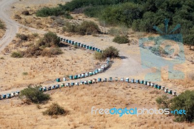 Cyprus, Greece/europe - July 21 : Two Lines Of Beehives In Cypru… Stock Photo