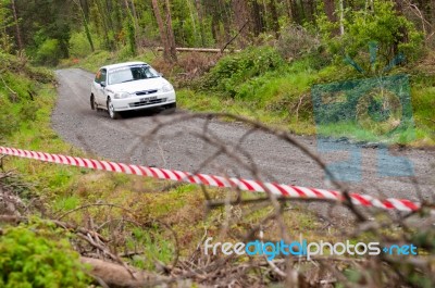 D. Raftery Driving Honda Civic Stock Photo