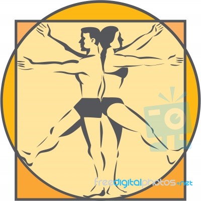 Da Vinci Male Female Side Arms Legs Line Drawing Retro Stock Image