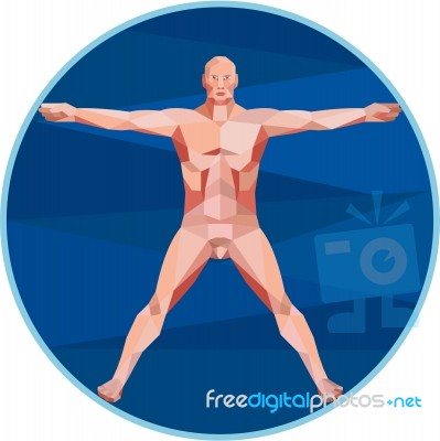 Da Vinci Man Anatomy Low Polygon Stock Image