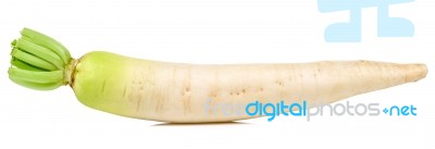 Daikon Radish Isolated On The White Background Stock Photo