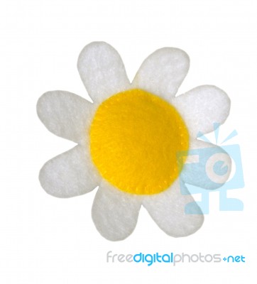 Daisy Stock Photo