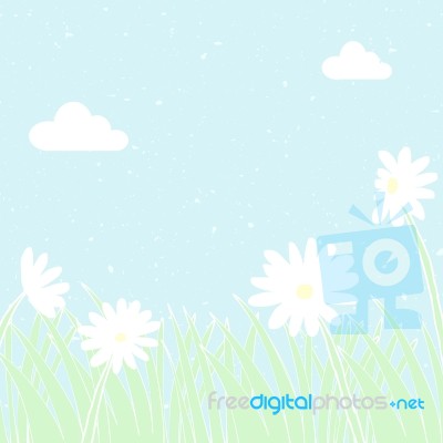 Daisy Background Stock Image