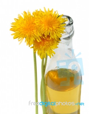 Dandelion Wine Stock Photo