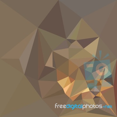 Dark Tan Brown Abstract Low Polygon Background Stock Image