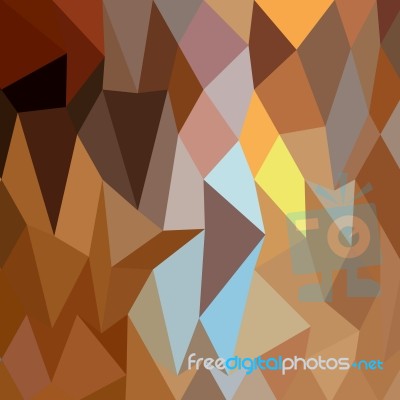 Dark Tangerine Abstract Low Polygon Background Stock Image