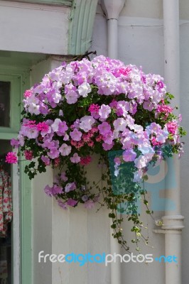 Dartmouth, Devon/uk - July 28 : Beautiful Hanging Basket In A Da… Stock Photo