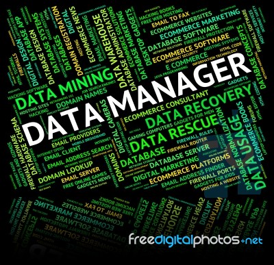 Data Manager Shows Executive Bytes And Fact Stock Image