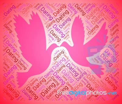 Dating Doves Indicates Love Birds And Dates Stock Image