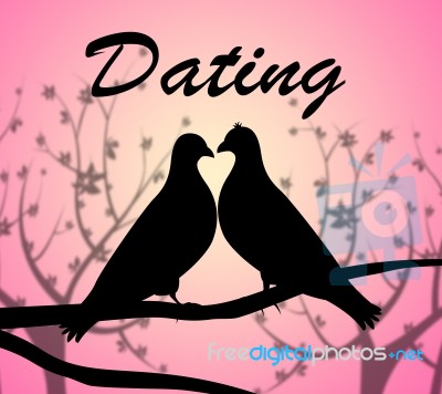 Dating Doves Means Internet Net And Partner Stock Image