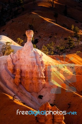 Dawn Light Illuminating An Unusual Hoodoo In Bryce Canyon Stock Photo