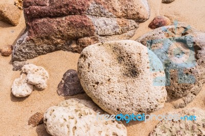 Dead Coral Flower Shape, At Kalim Bay, Phuket, Thailand Stock Photo