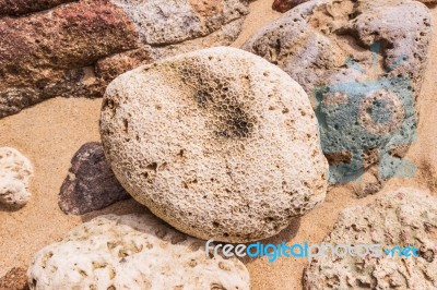 Dead Coral Flower Shape, At Kalim Bay, Phuket, Thailand Stock Photo